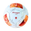 FOOTBALL MOLTEN F5N4900-TL